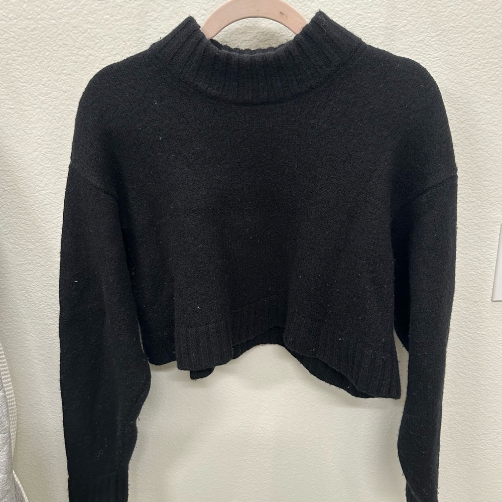 Aritzia Wilfred Sweater